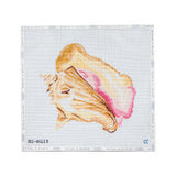 Large Queen Conch = Seashell Canvas