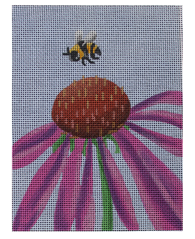 Cone Flower