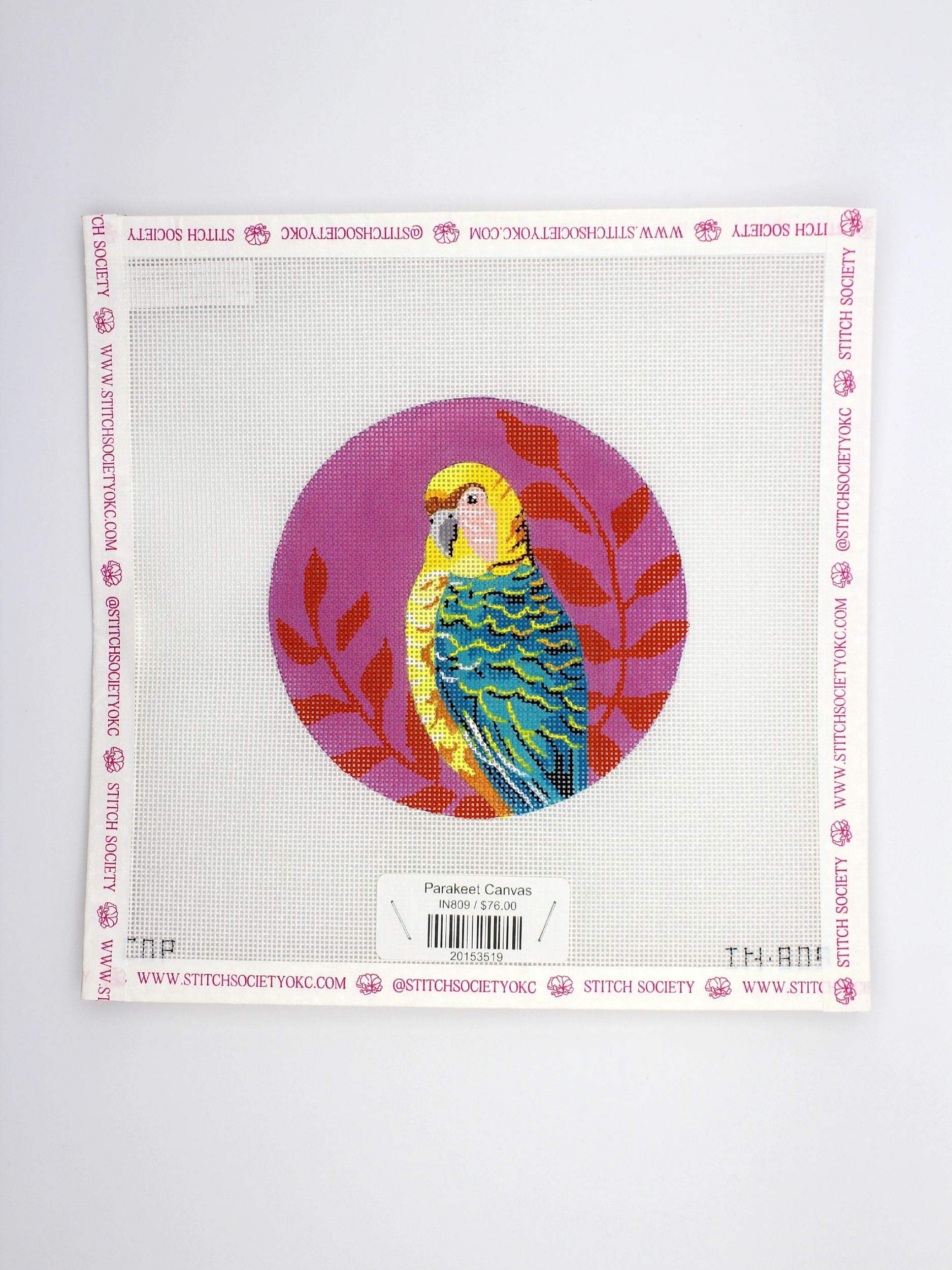 Parakeet Canvas