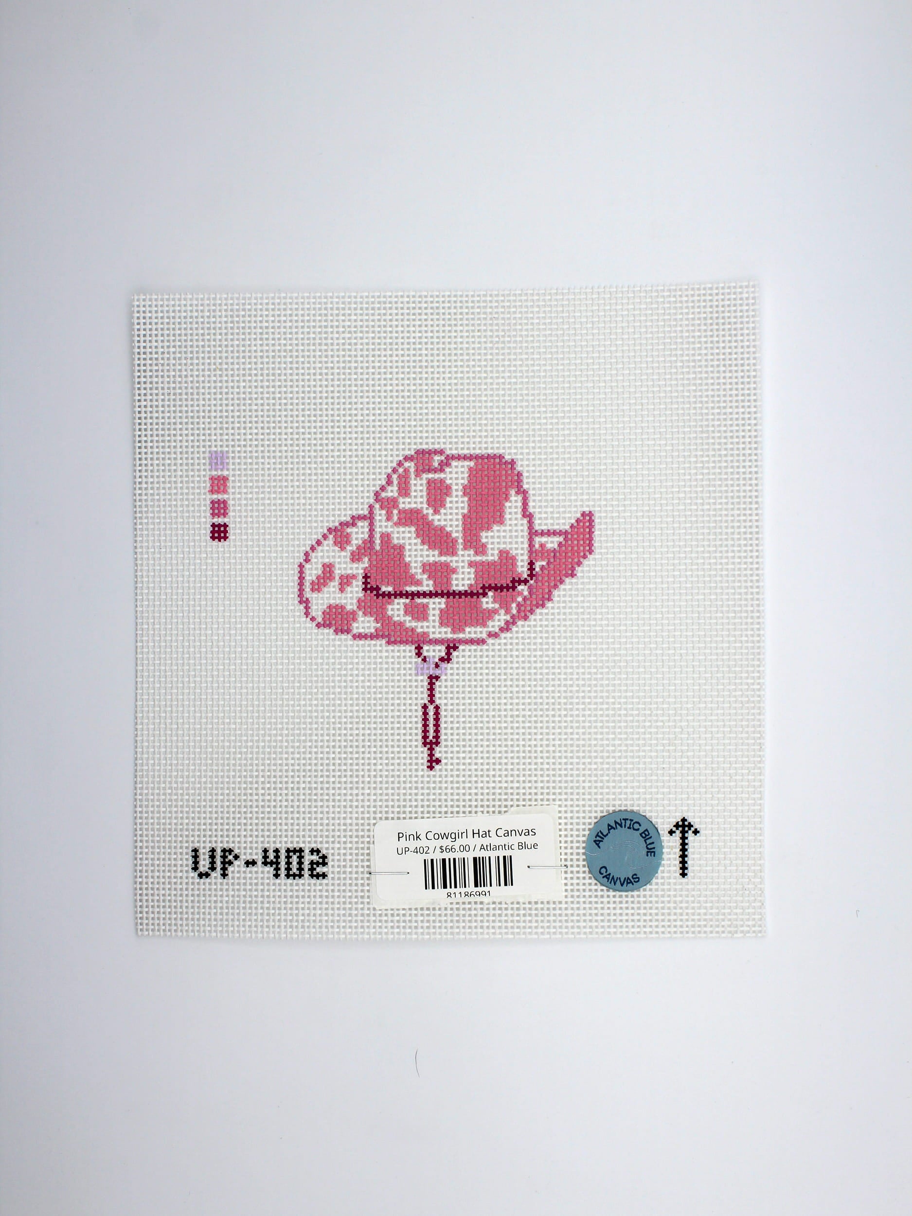 Pink Cowgirl Hat Canvas
