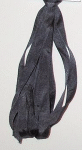 Black Coral 4mm Ribbon