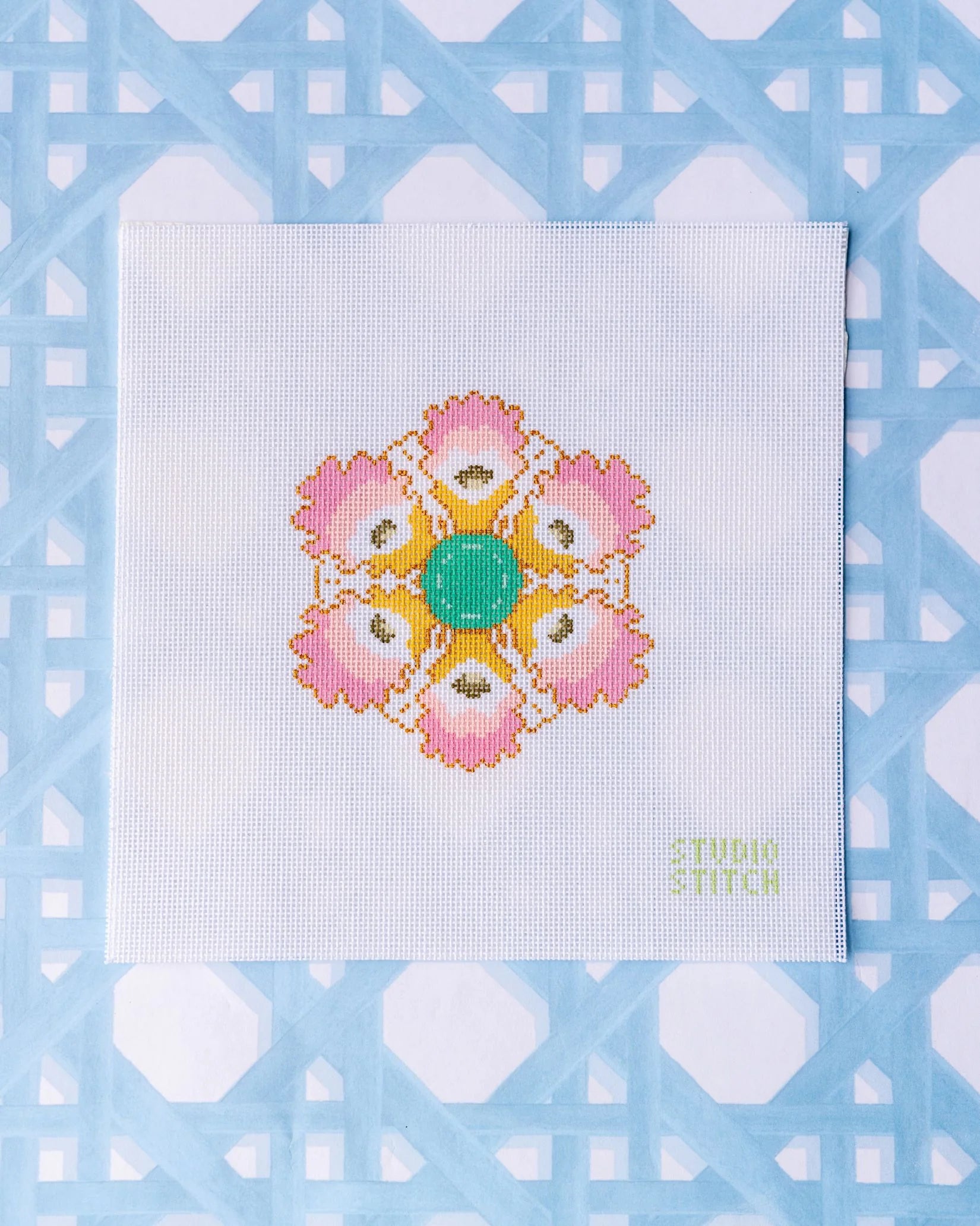 Pink Oyster Plate Canvas