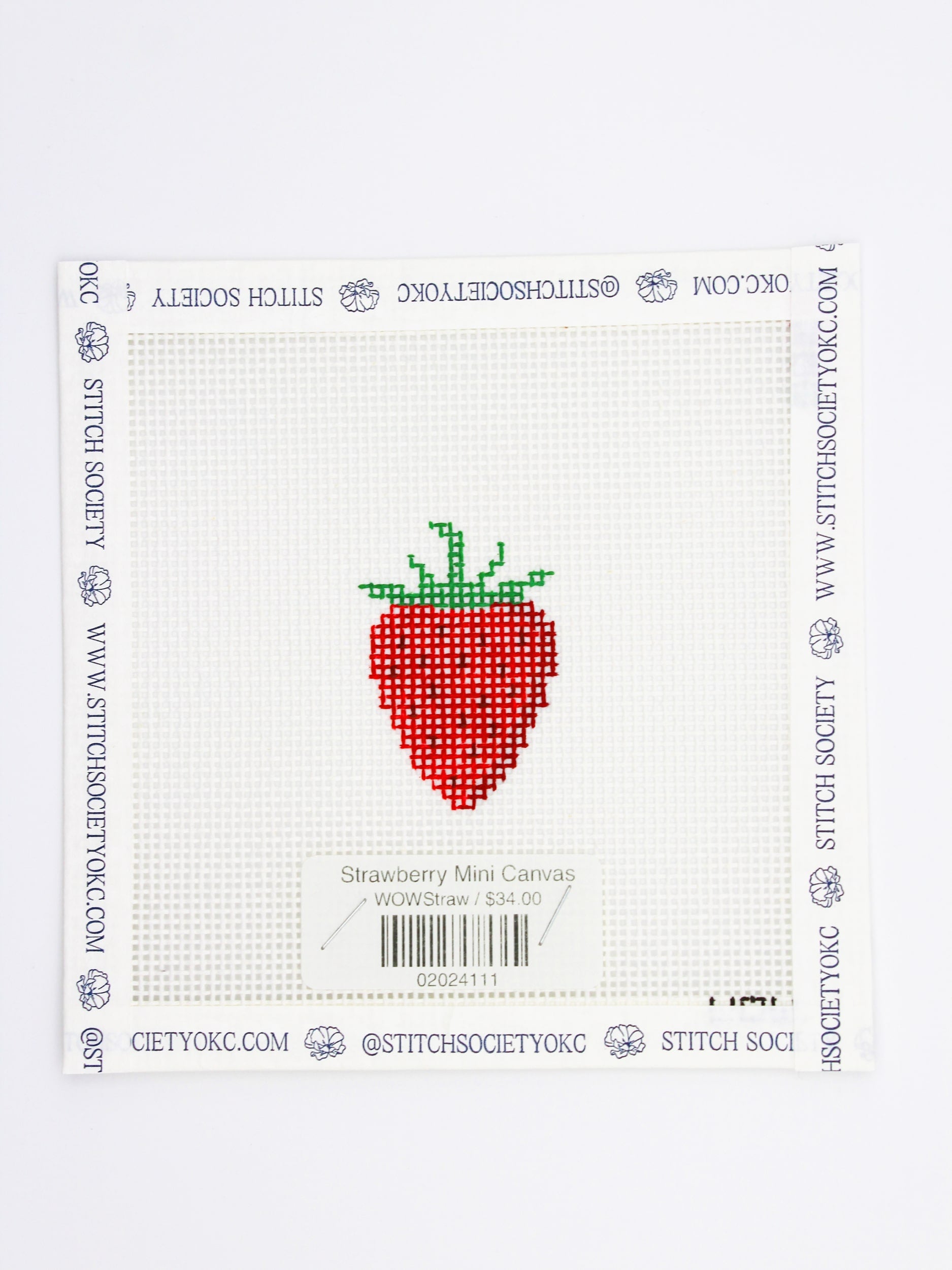Strawberry Mini Canvas