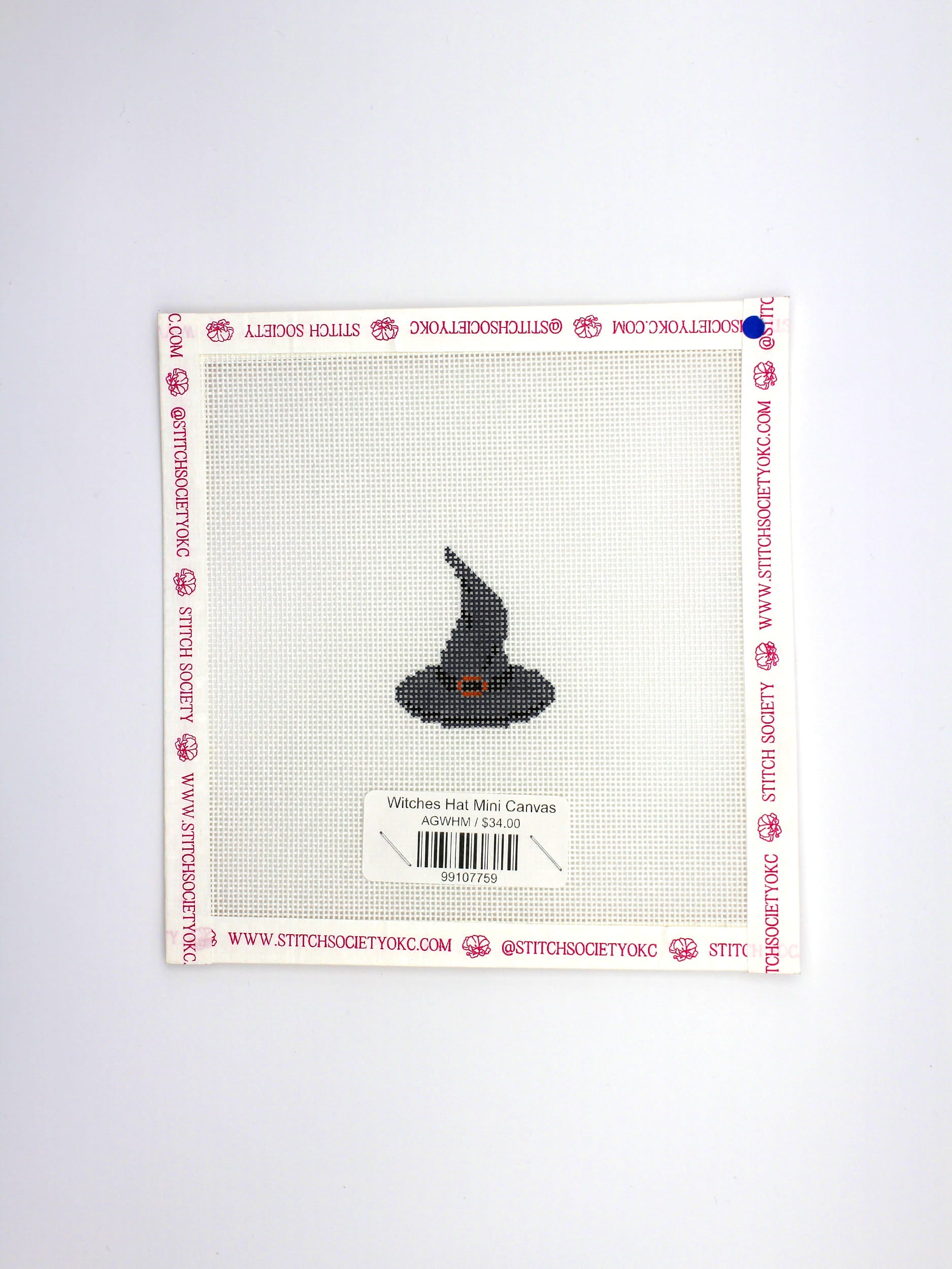 Witches Hat Mini Canvas
