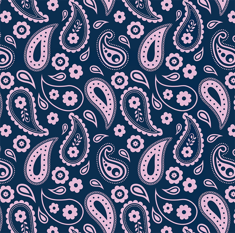 Paisley Pencil Case
