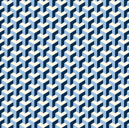 Pencil Case – Maze