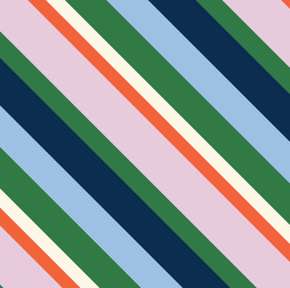 Pencil Case – Rugby Stripe