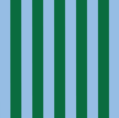 Green Blue Stripe Pencil Case