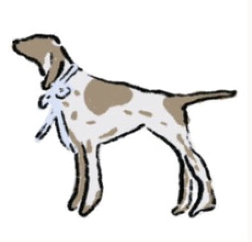 Southern Dog Needleminder