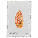 Miter Seashell Canvas